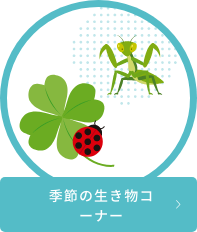 生き物