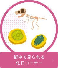 化石