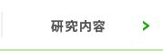 研究内容