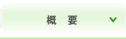 概要